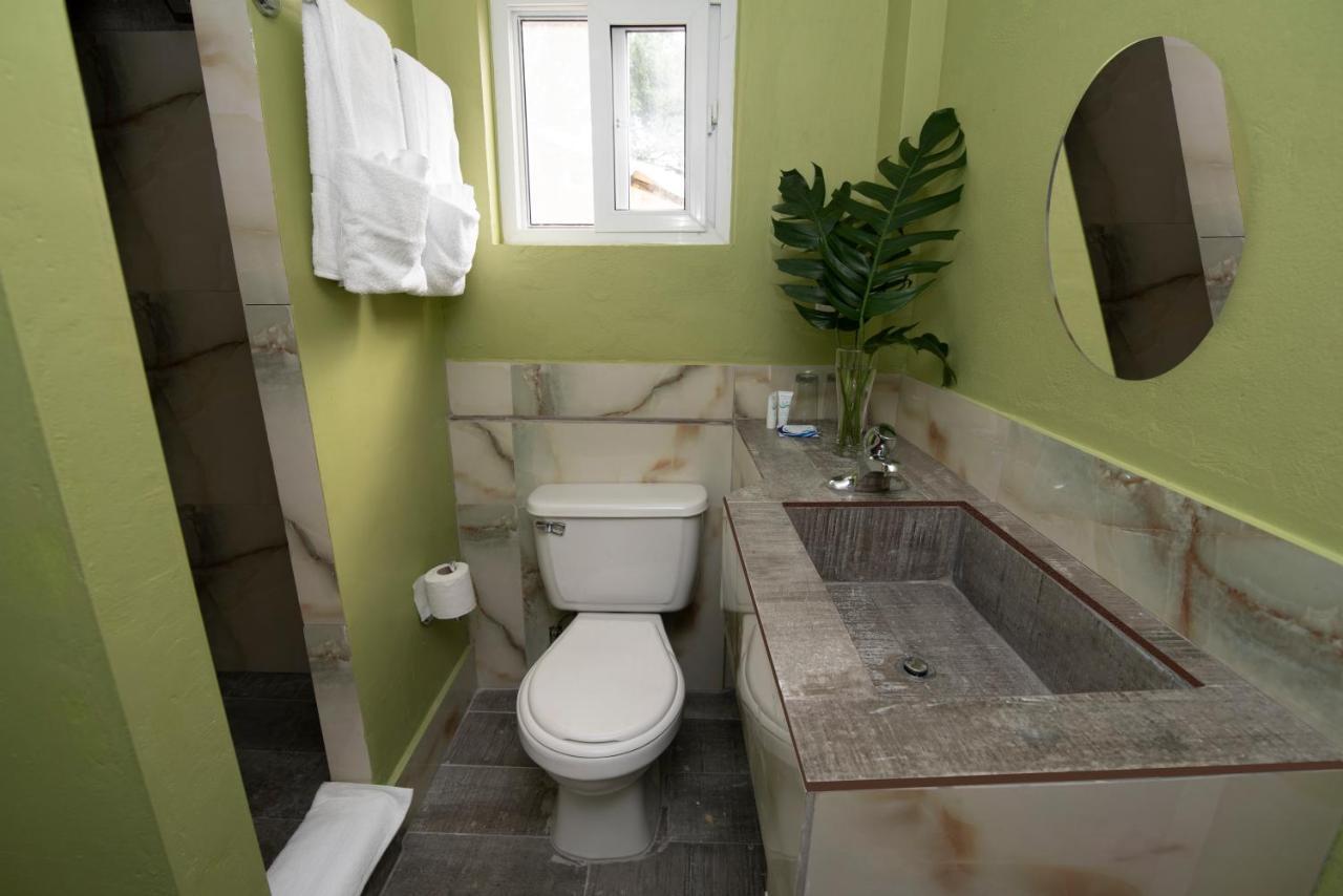 קינגסטון Pulse Rooms At Trafalgar מראה חיצוני תמונה
